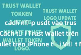 cách nạp usdt vào trust wallet Cách tải Trust Wallet trên iPhone tại Việt Nam